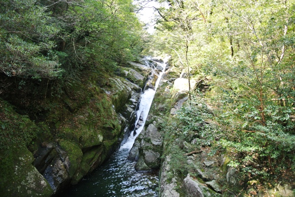 hiryuotosi