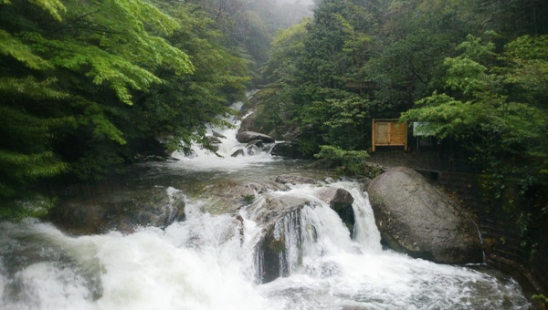 sirataniiriguti