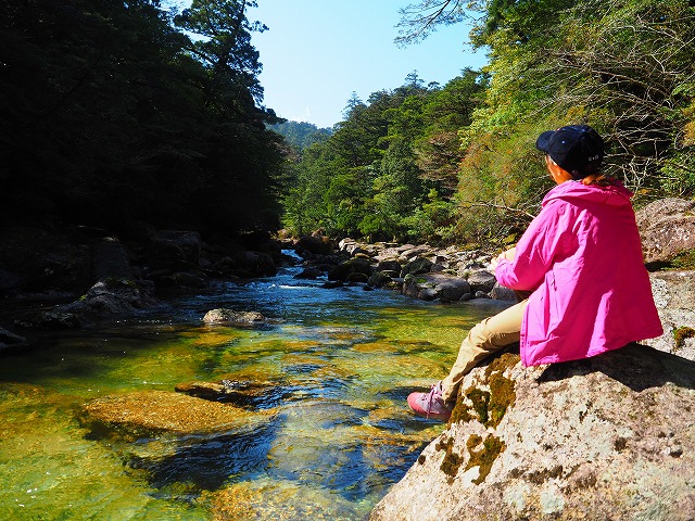 現地プロガイドが教える 屋久島旅行3つのプラン 屋久島ガイド