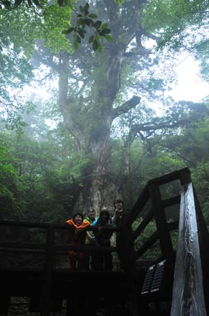 2010 07 tokuyamasama