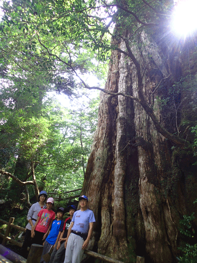 20150802yakushijisama1