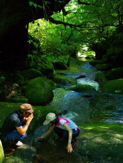 このツアーに参加された黒木様の声