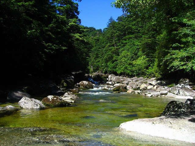 島周遊B・屋久杉の森エコツアーの画像