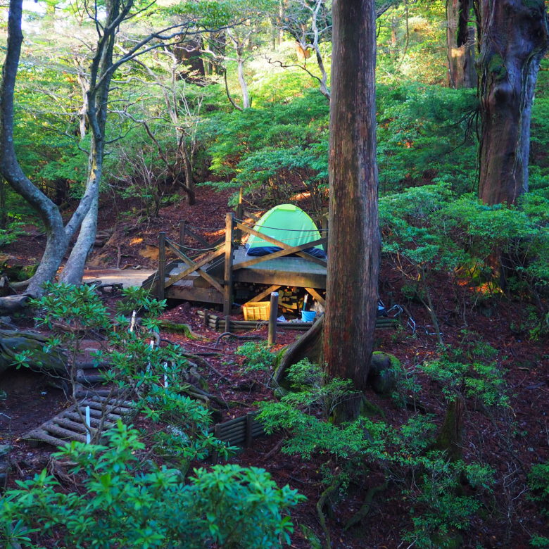 縄文杉ひとりじめキャンプツアーの画像