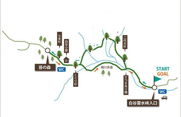 イメージ図