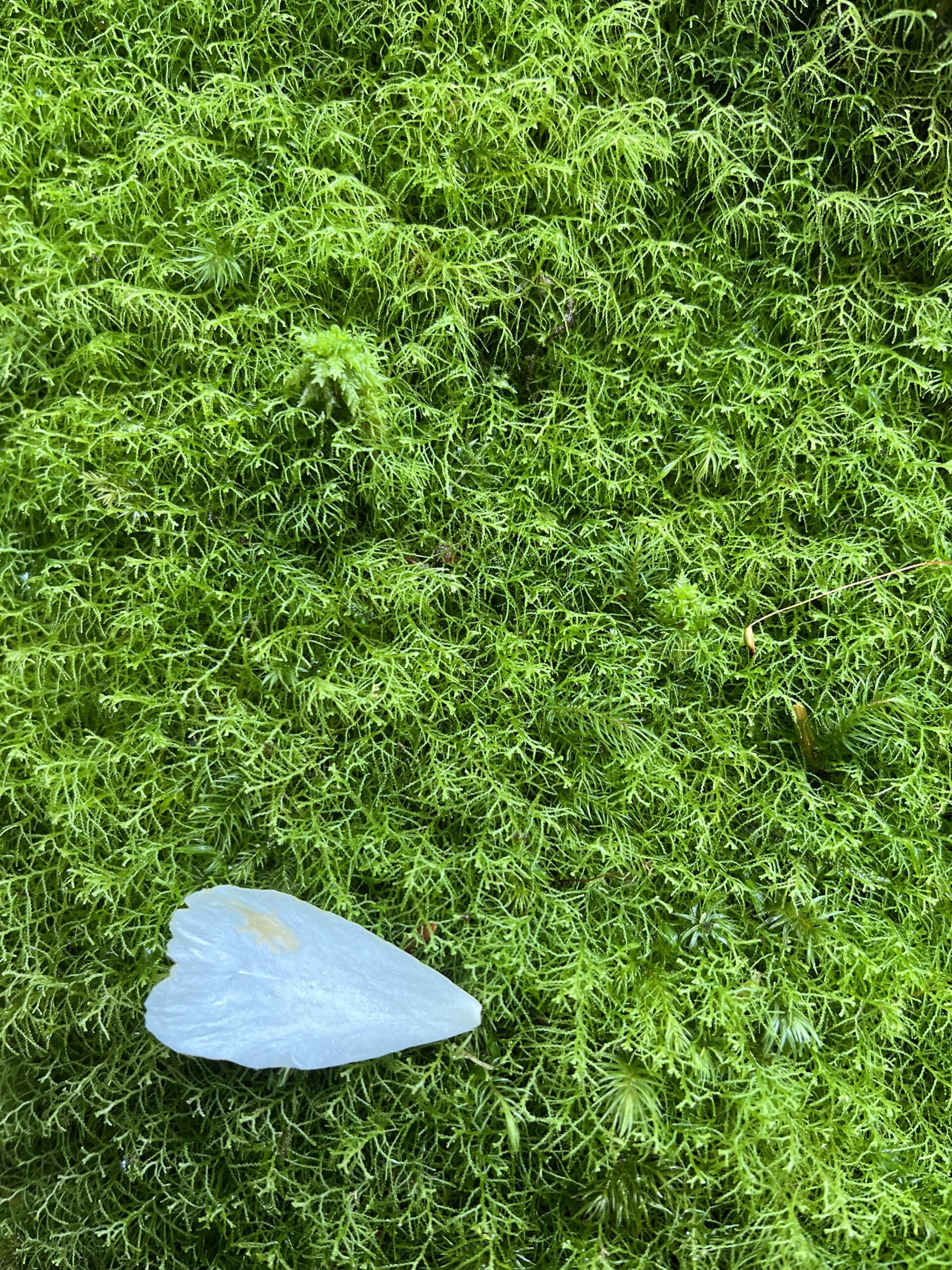 自分自身との答え合わせができ大満足！！