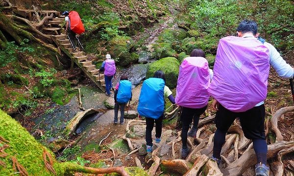 屋久島のトレッキングコース・登山道の安全な歩き方