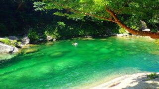 森と水のエコツアー