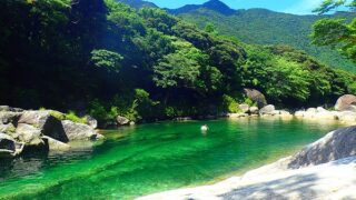 森と水のエコツアー