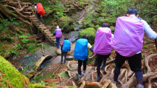 登山用品レンタル