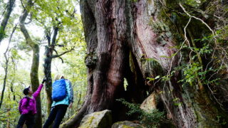 自分にあった屋久島ガイドの選び方