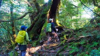 淀川の森トレッキングツアー