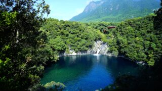 照葉樹林・島周遊エコツアー
