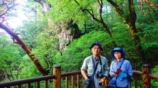 【体験談】ガイド付きで大正解！縄文杉をひとりじめできる贅沢な1泊2日キャンプツアー