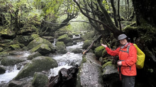 【お客様の声】屋久島旅行・女性ひとり旅｜白谷雲水峡と星読み＆アロマセッションの体験談
