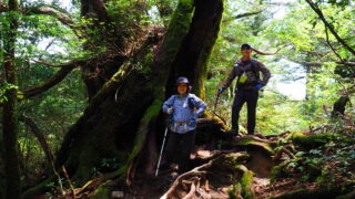 3泊4日で満喫!屋久島観光おまかせプラン